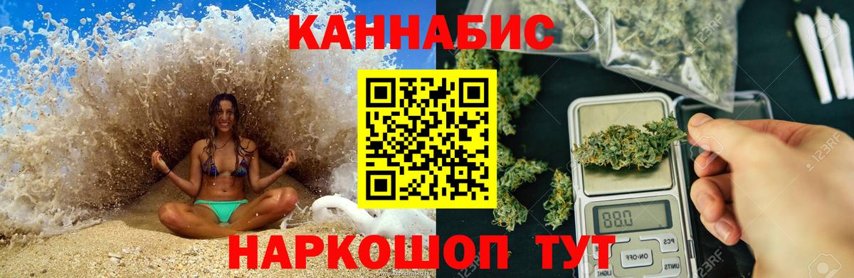 Шишки марихуана конопля Зеленогорск
